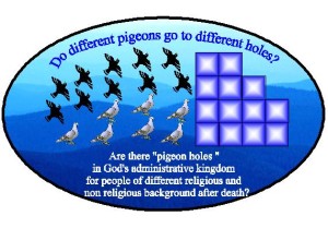 Pigeon_skybackground